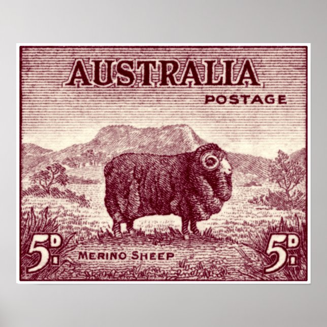 1934 Australian Merino Sheep Poster (Framsidan)