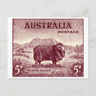 1934 Australian Merino Sheep Vykort
