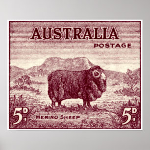 1934 australiensiska Merinofår Poster
