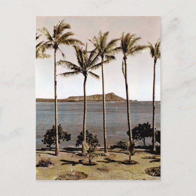 1940 Diamond Head Hawaii Vykort (Framsida)