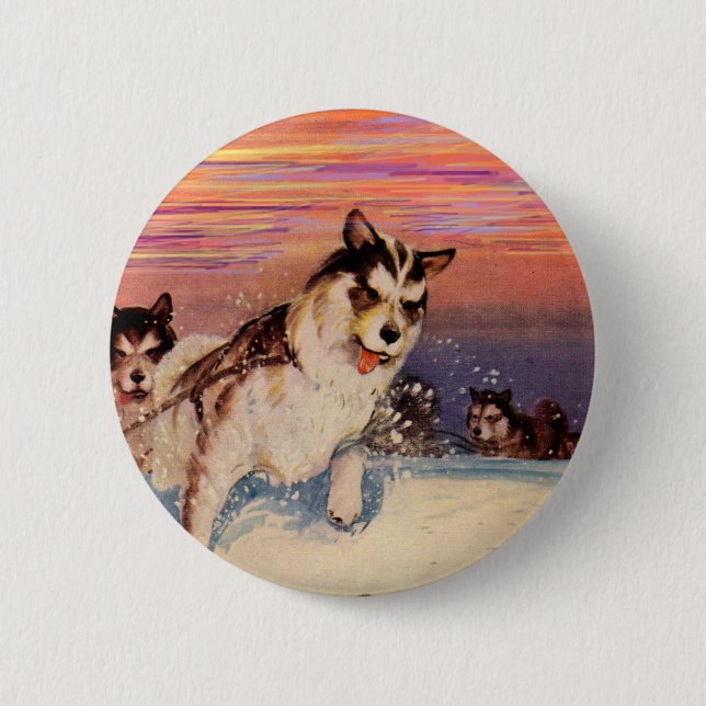 1940-talets Siberian husky sled hundar på sak Knapp (Framsida)