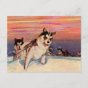 1940-talets Siberian husky sled hundar på sak Vykort