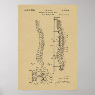 1940-Vintages anatomiskt konsthandling Poster