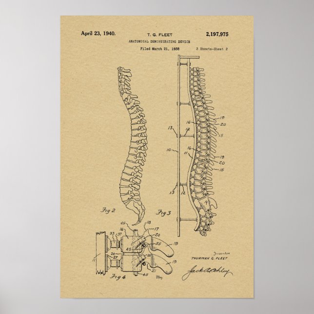 1940-Vintages anatomiskt konsthandling Poster (Framsidan)