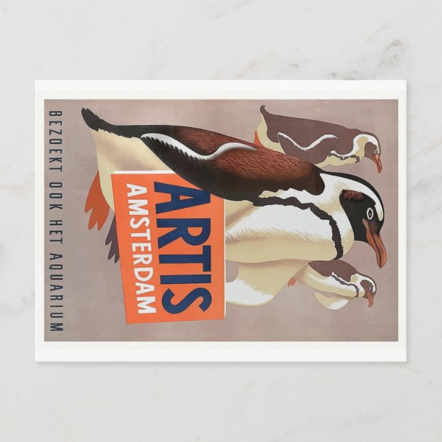 1947 Artis Zoo Amsterdam Penguins Poster Vykort (Framsida)