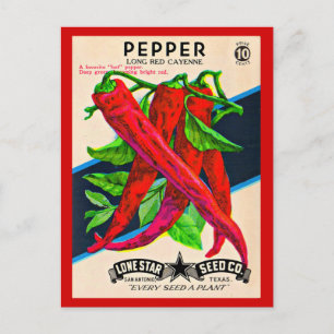 1950-talets frökapaket cayenne pepper print vykort