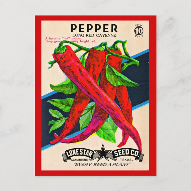 1950-talets frökapaket cayenne pepper print vykort (Framsida)