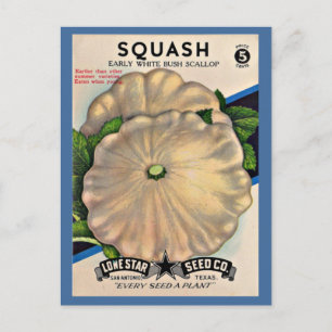 1950-talets fröpaket, vit squash vykort