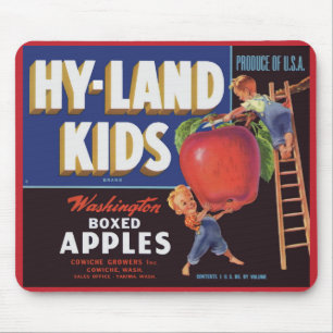 1950-talets utskrift av märket Hyland Kids Washing Musmatta