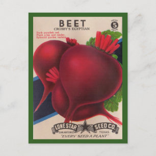 1950s fröpaket Betor Vykort