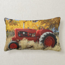 1955 WD45 Allis Chalmers Tracter Lumbar Pillow Lumbarkudde