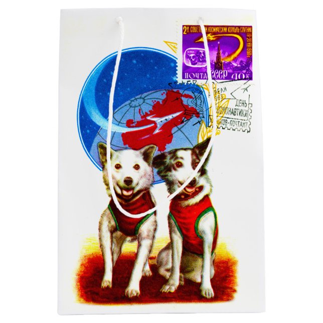 1963 HUND ASTRONAUTS BELKA OCH STRELKA (Framsidan)