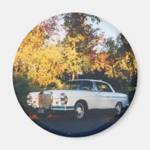 1965 Mercedes-Benz 220SEb-kupong Magnet
