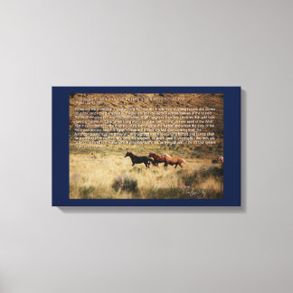 1971 Vild Free Roaming Horses & Burros Act Canvas