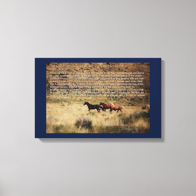 1971 Vild Free Roaming Horses & Burros Act Canvas (Framsida)