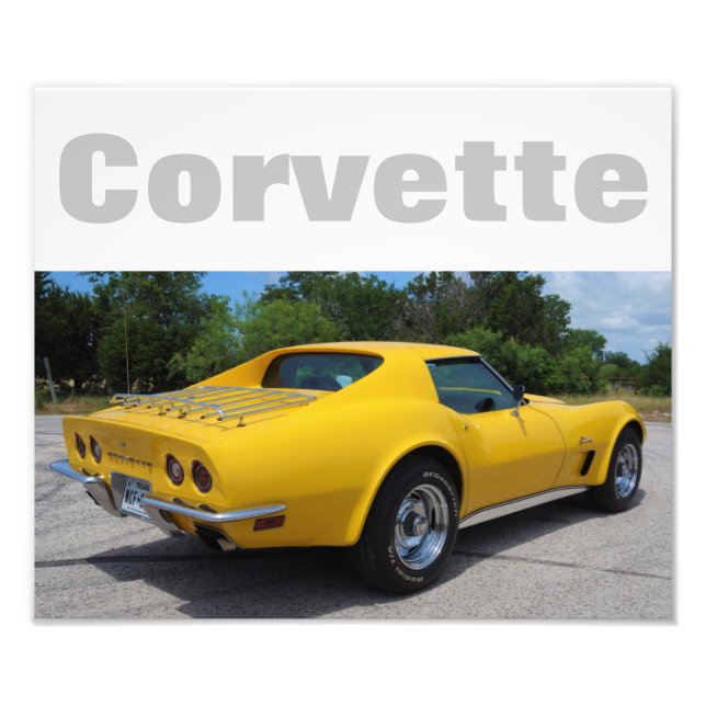 1973 Corvette Stingray Designer Fototryck (Framsidan)