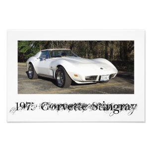 1975 Corvette Stingray Photo Fototryck