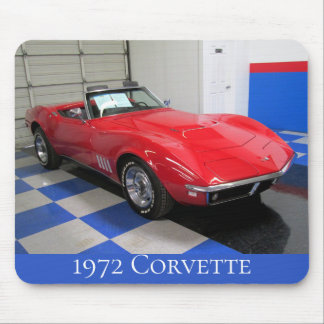 1975 Corvette Stingray Show Room Musmattor
