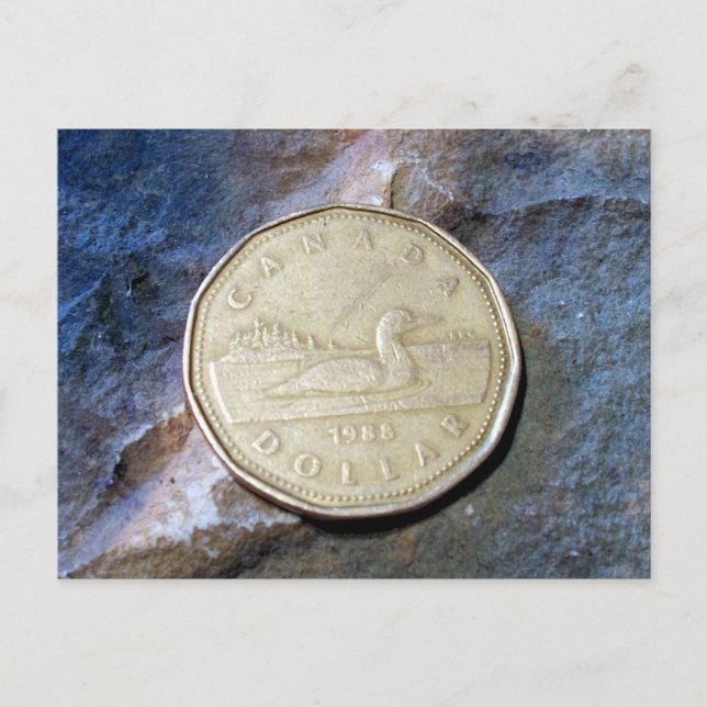 1988 Canadian Loonie Postcard Vykort (Framsida)