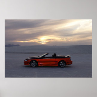 1995 Stang-konvertibel Poster