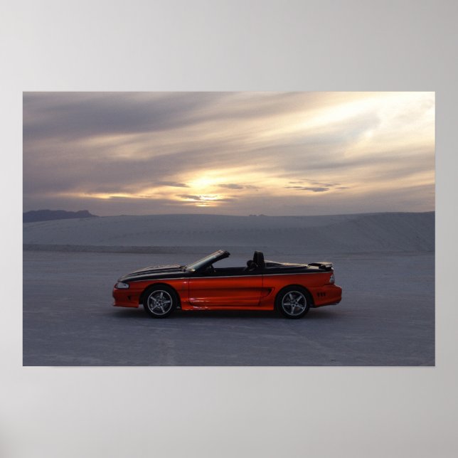 1995 Stang-konvertibel Poster (Framsidan)