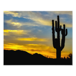 1996-2-Arizona Desert i Sunset med Saguaros Fototryck