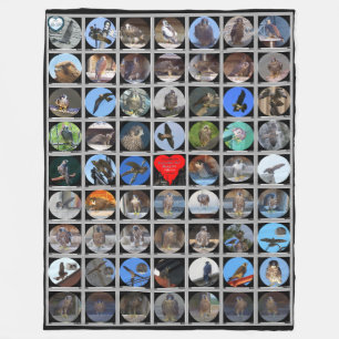 1998-2019 Peregrine Falcons of Rochester, NY Fleecefilt