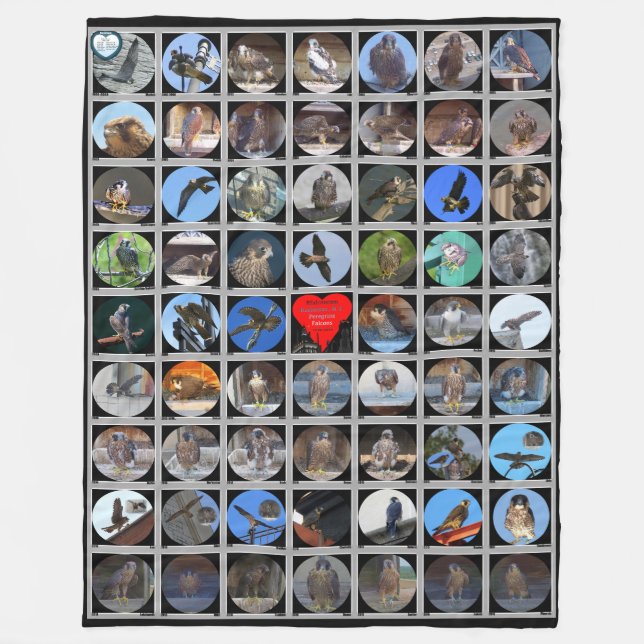 1998-2019 Peregrine Falcons of Rochester, NY Fleecefilt (Framsidan)