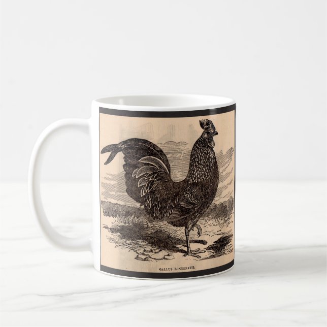 19:e århundradets Gallus Sonneratii-tupp tryck Kaffemugg (Vänster)