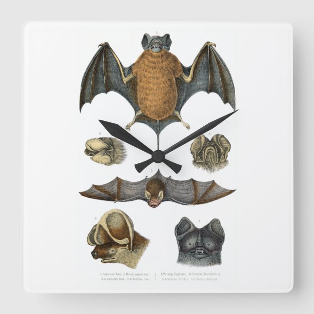 19:e C. Fladdermus-utskrift Fyrkantig Klocka (Framsida)