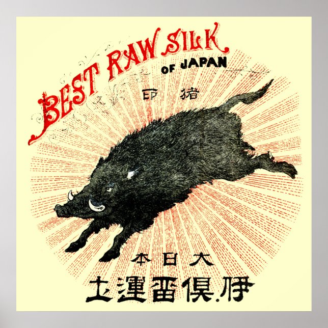 19:e C. Japanska Silke Poster (Framsidan)