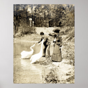 19:e C. Svanar i Paris Poster