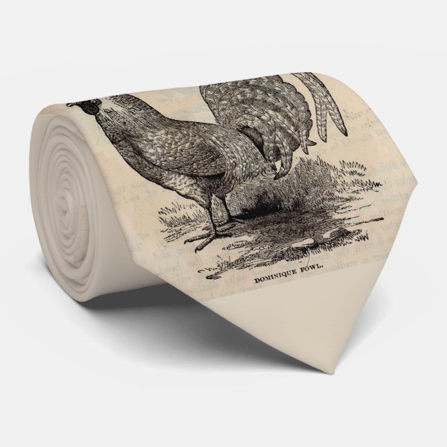 19th århundrade tryck dominique fowl slips (Rullad)
