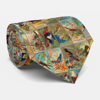 19th Århundradefåglar av Amerika illustrationer Slips