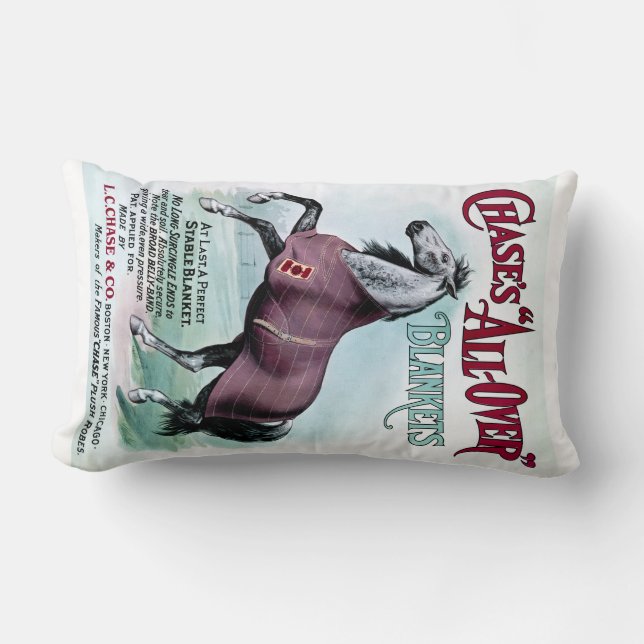 19th C. Chase Horse Blankets Lumbarkudde (Framsida)