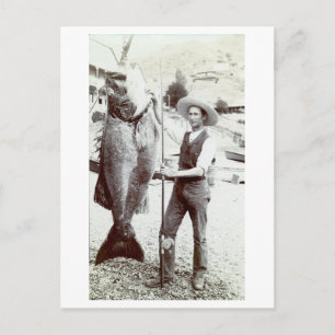 19th C. Fisherman and Goliath Grouper Vykort