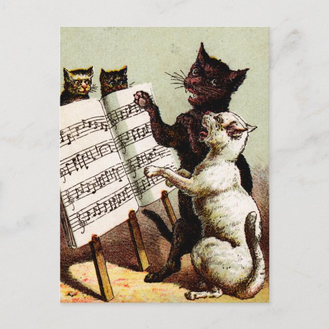 19th C. Singing Cats Vykort (Framsida)