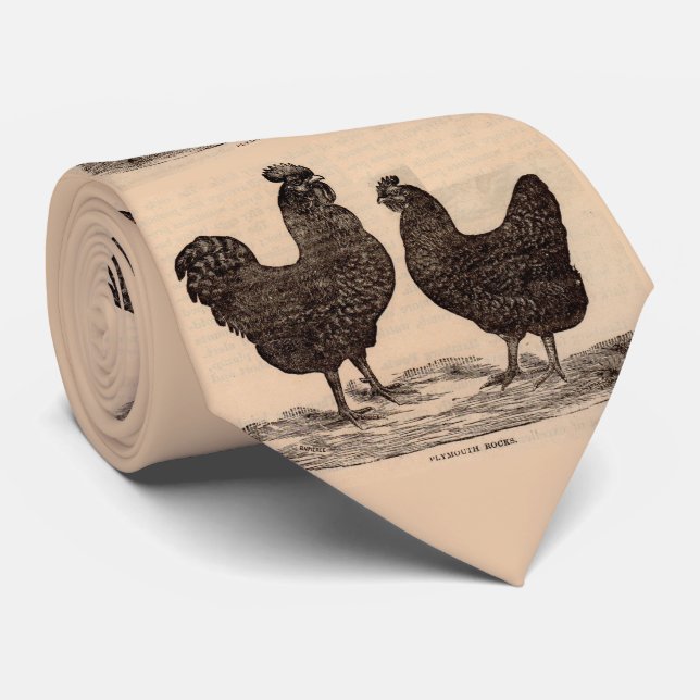 19th century print Plymouth Rock hen and rooster Slips (Rullad)
