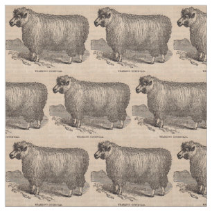 19th Cotswold för århundradetryckårsgammal Tyg