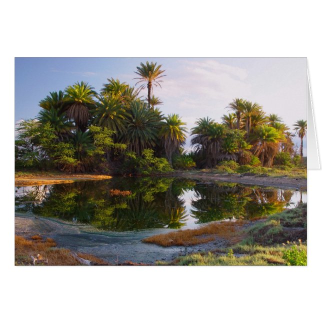 1 000 000 år hälsningskort (Framsidan Horizontal)