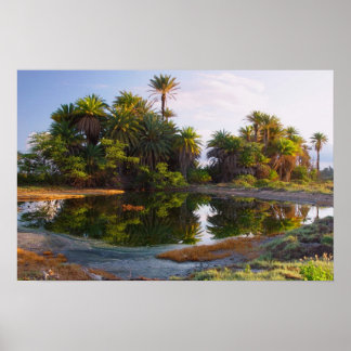 1 000 000 år poster