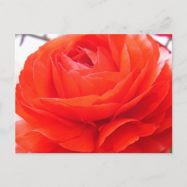 1 4 VYKORT (Framsida)