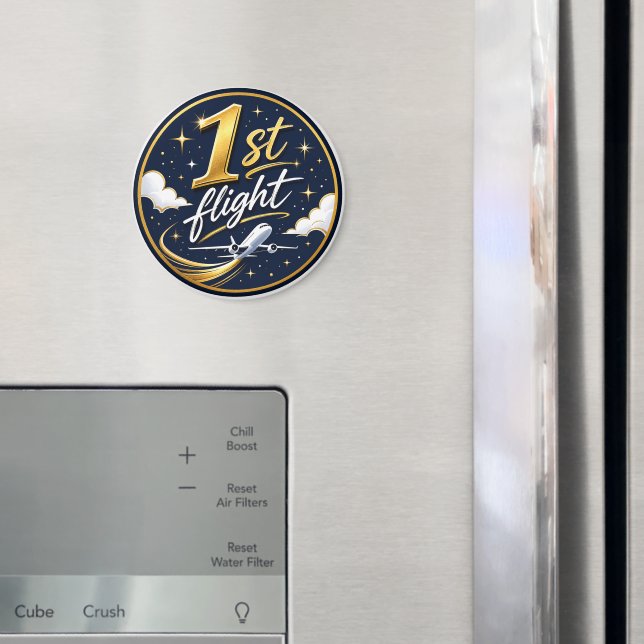1:a flygplan  magnet (In Situ (Fridge))