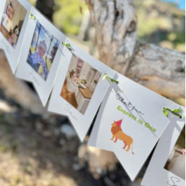 1:a födelsedag 12:e månaden Fotobundet Vimplar