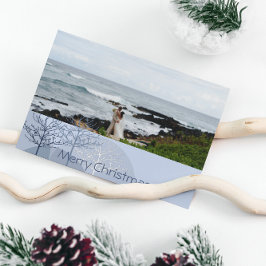 1:a julblått Helgdag Träd eller Alla foton Helgkort