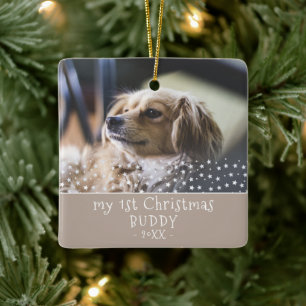 1:a julhund jul fotostjärnor minne julgransprydnad keramik