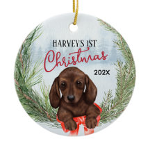 1:a julkrans Chocolate Brown Dachshund Valp