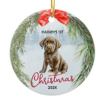 1:a julkransens bruna labrador