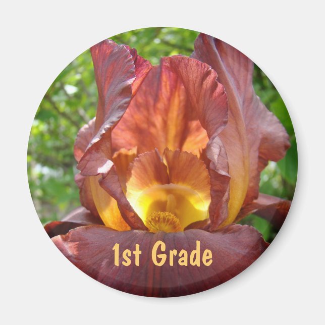 1:a klass magneter gåvor Ljus Iris Blommor Irisar (Framsidan)
