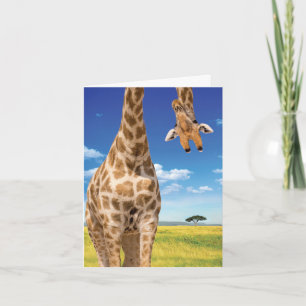 1 Adsible Birthday Card - Upside-down Giraffe Kort
